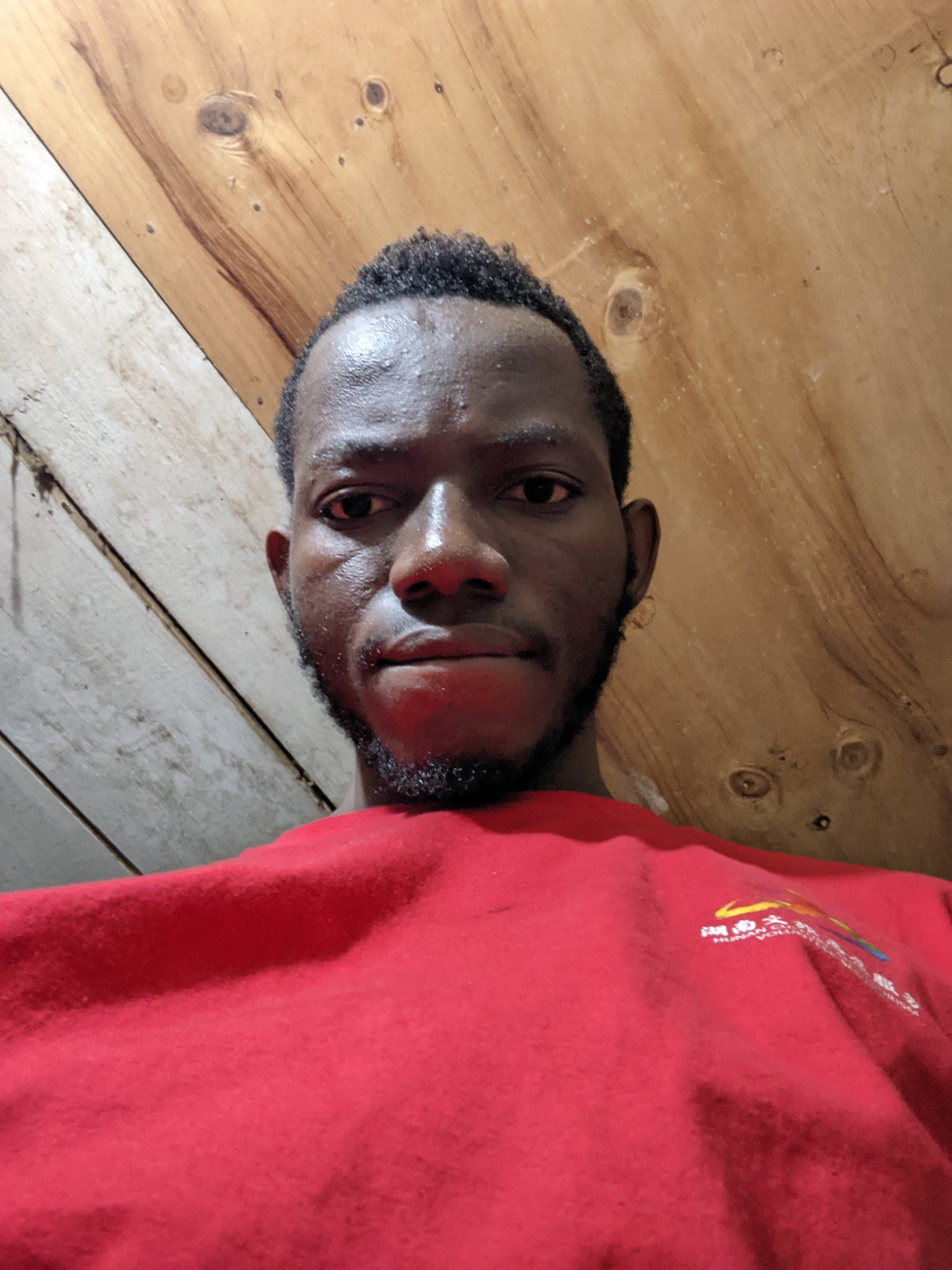 David BITA